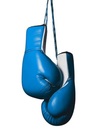 Blue Boxing Gloves